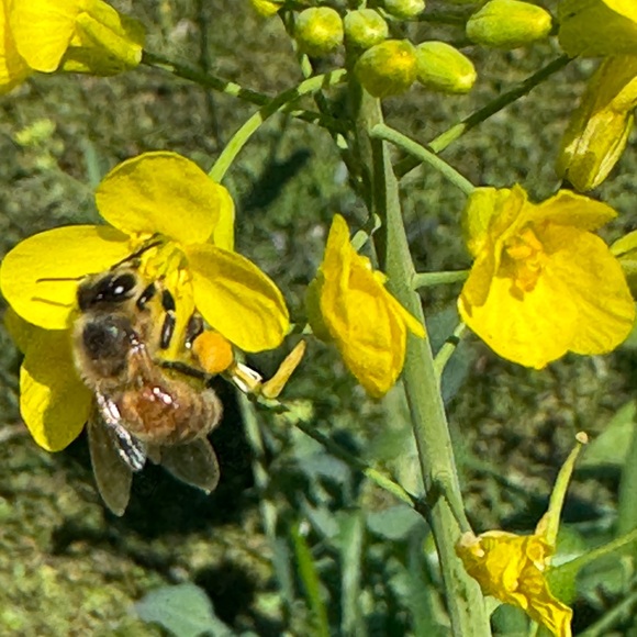 Meet your Posher, Monique - Picture 1 of 10